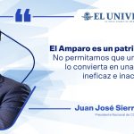 La defensa del amparo: un exhorto a la conciencia de los diputados