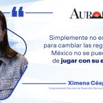 La mejor reforma es que no haya reforma.