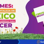 MiPyMEs: La gran fortaleza de México que enfrenta barreras para crecer.